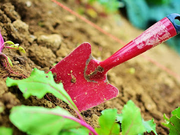 GARDENING ACTIVITIES, czyli angielski od strony praktycznej - Czytaj więcej »