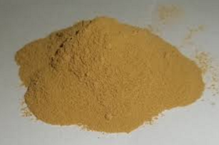 Amino Axit Động vật- Thực Vật