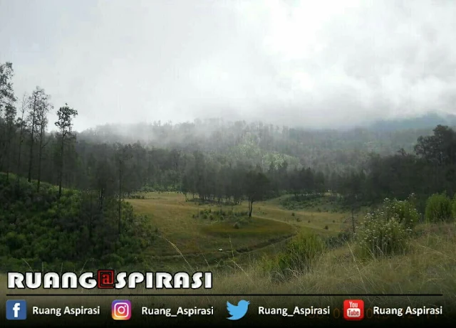 Polemik Savana Sikasur masih terus berlanjut