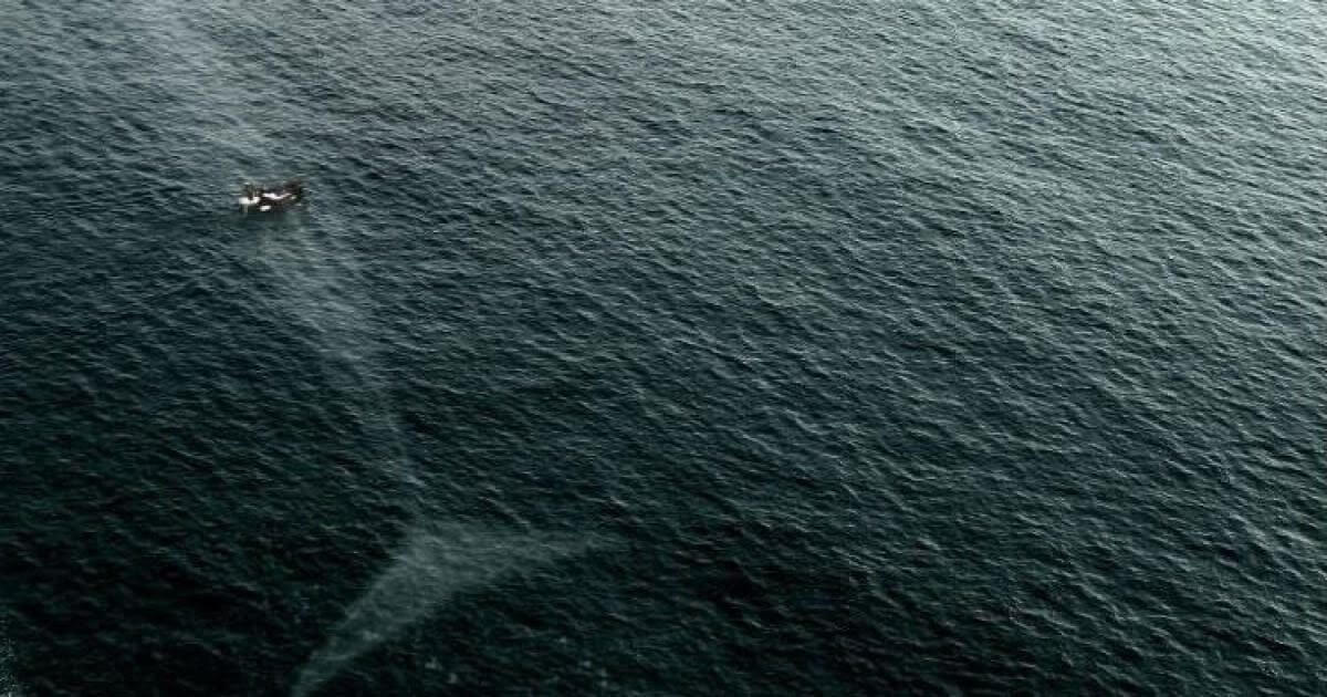 12 Frightening Pictures That Made Us Reconsider About Swimming In The Ocean