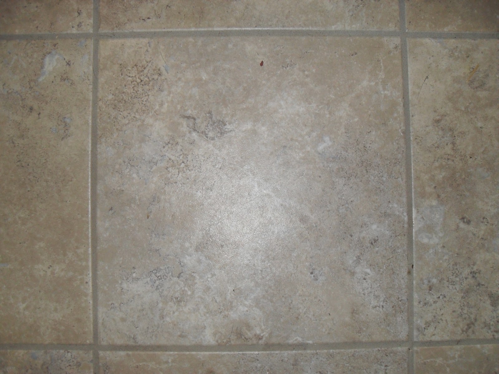 One Ring Short of a Circus Groutable Vinyl Tile  Flooring 