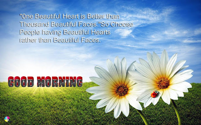 good morning SMS, latest good morning sms in English, Hindi, new latest good morning sms. 