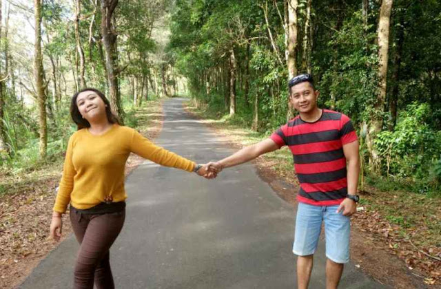 Hutan Pinus Kintamani, Objek Wisata Yang Menyejukkan