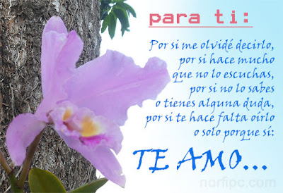 Para Ti | Te Amo