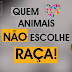 Quem ama animais não escolhe raça