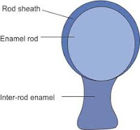 rod sheath
