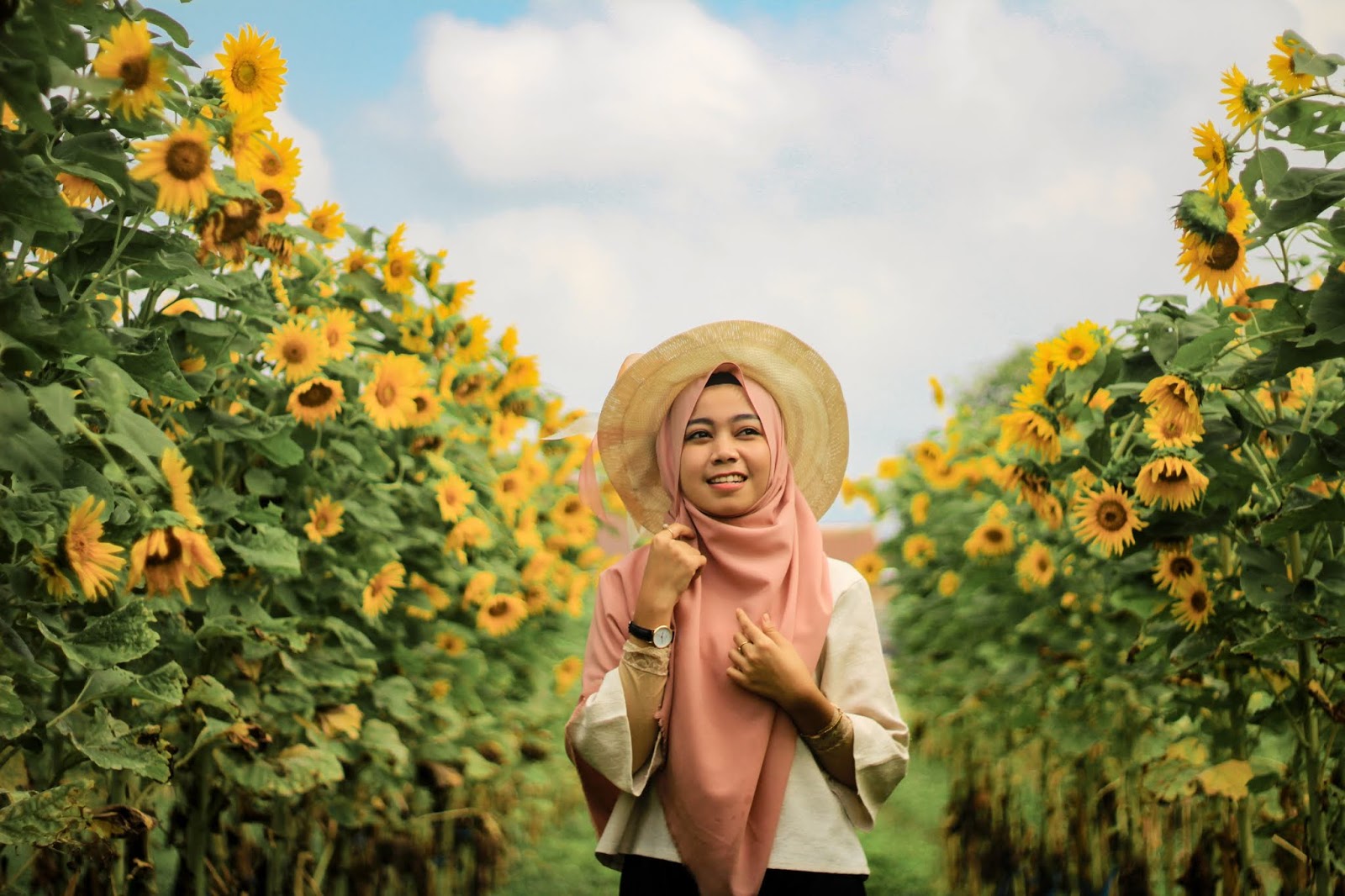 Jalan Jalan Selfie Di Kebun Bunga Banyumas