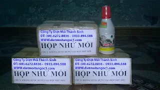 Hộp nhử mối và thuốc diệt mối