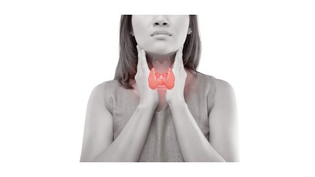 Demystifying Thyroid Disorders: Anatomy, Function, and Treatment Options