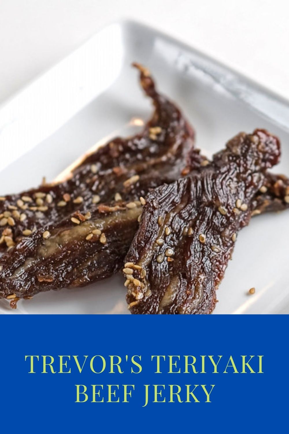 Trevor's Teriyaki Beef Jerky