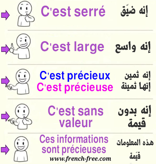 S2 الدرس 46 تعلم اللغة الفرنسية يومياً بسرعة 5 جمل هامة في دقيقتين للمبتدئين بالنطق + للتحميل PDF