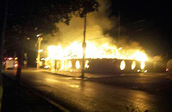 Arde Timón de Cancún; presumen incendio deliberado