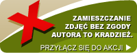 Akcja: Nie kradnij zdjęć!