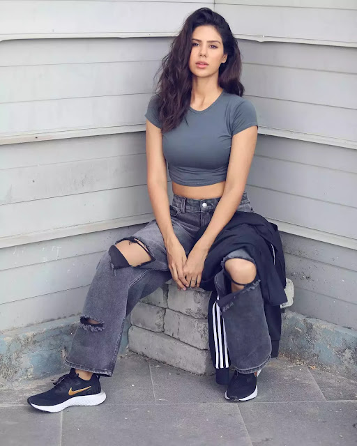 Hottest Sonam Bajwa in Tight Grey Crop Top with Ripped Denim Will Make Your Jaws Drop in Her Latest Sultry Picture