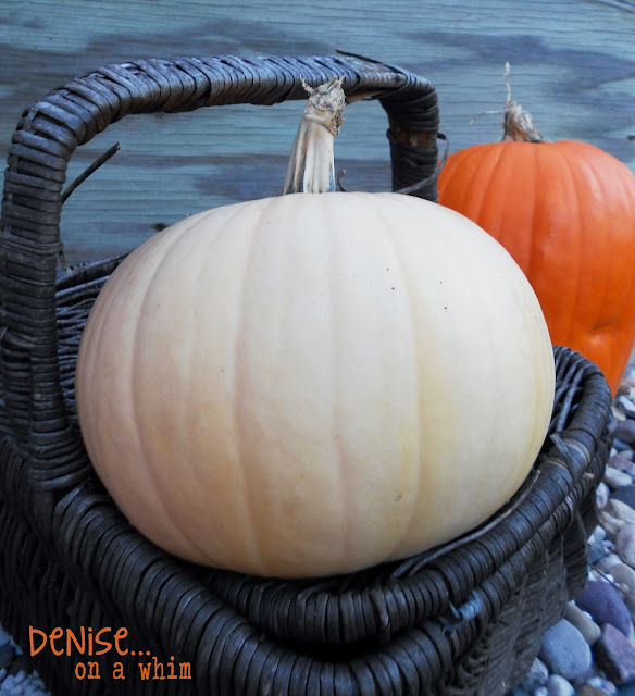 pumpkins, autumn, decor