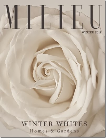 Cover Milieu winter 2014