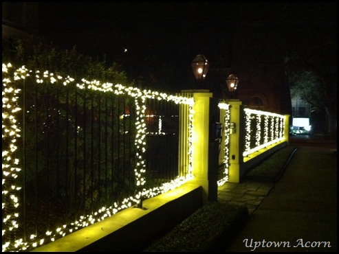 photo_2