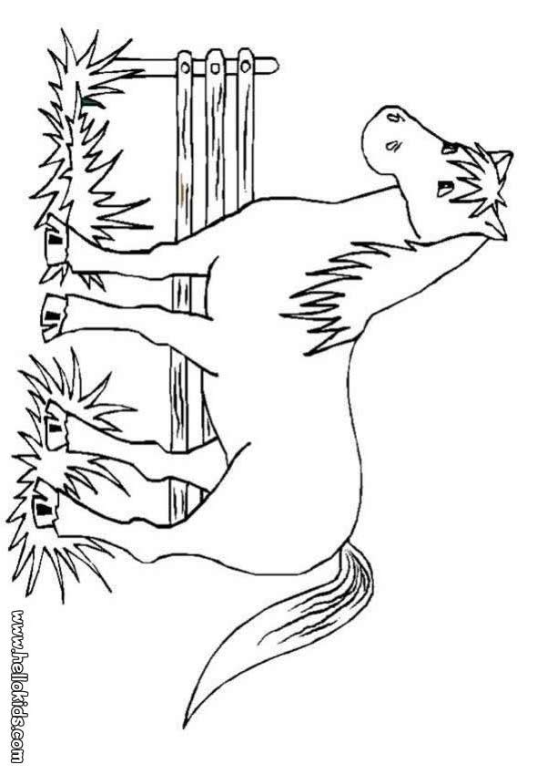 Coloring Pages For Kids Horse 9