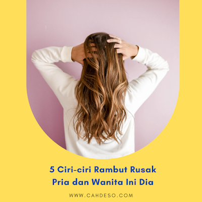 ciri-ciri rambut rusak pria rambut rusak dan kering ciri ciri rambut mengembang