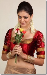 parvathi melton photo shoot hot gallery