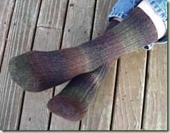 WinterHedgerowSocks