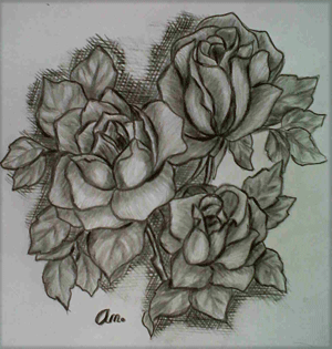 Lukisan Pensil Bunga Mawar Klasik
