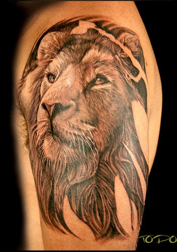 lion tattoos