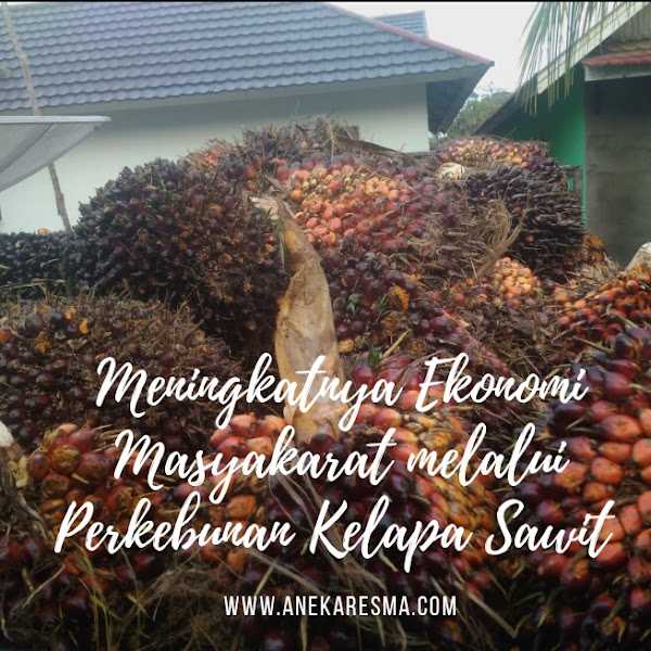 Meningkatnya Ekonomi Masyarakat dengan Perkebunan Kelapa Sawit