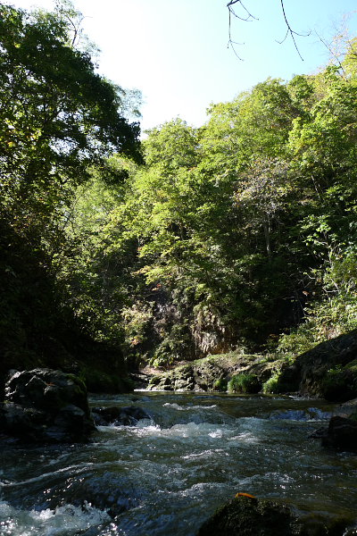 P10603561.jpg
