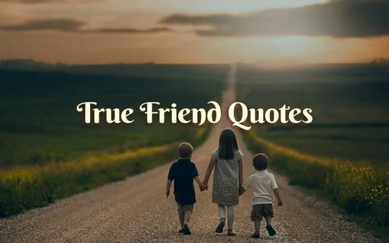 Quotes about True friend,True Friends Quotes,Best True Friends Quotes,True friend Quotes,