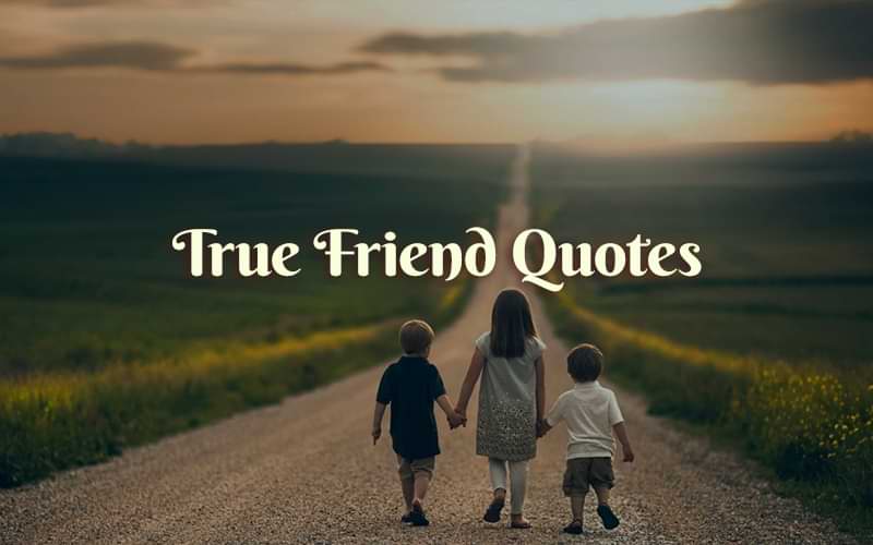 70+ BEST True Friend Quotes