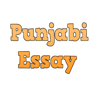 essay on television in punjabi language