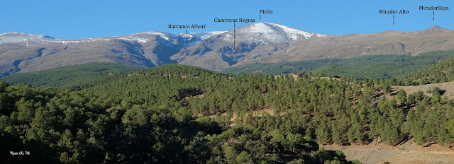 Umbría la Mata, Sierra Nevada