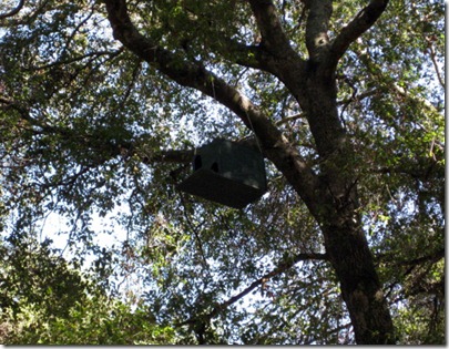 Dos Picos (Ramon, CA). An Owl house.
