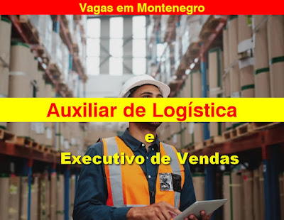 Tw Transportes abre vagas para Auxiliar Logístico e Executivo de Vendas em Montenegro