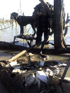 dead timber north texas duck hunt