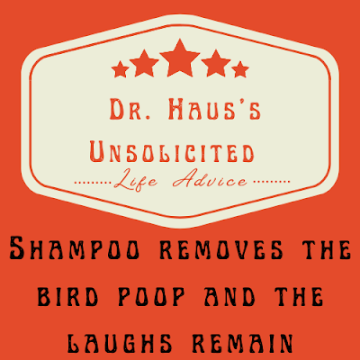 Dr. Haus's Unsolicited Life Advice:  Shampoo removes the bird poop and the laughs remain