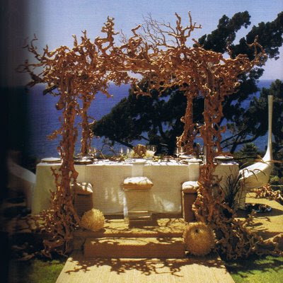  arch for a beach weddingit reminds me a lot of driftwood you might 