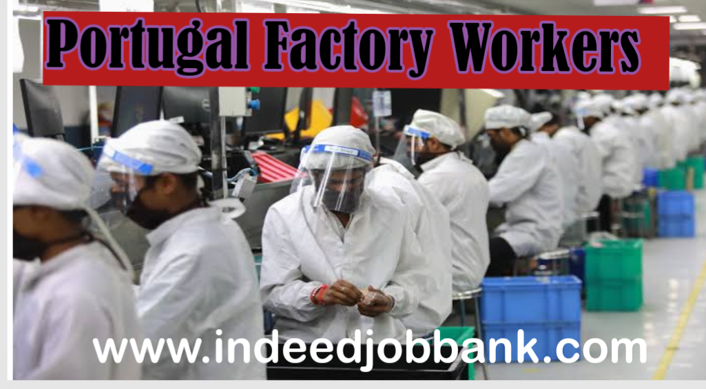 Factory worker Jobs in Portugal 2023