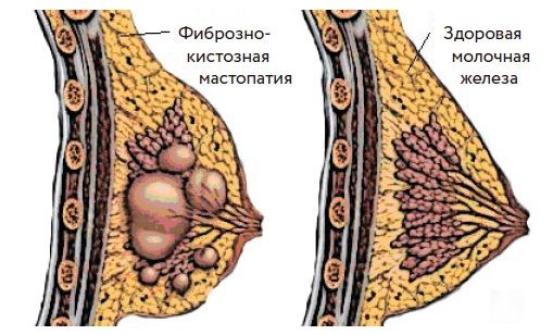 Артлайф Беларусь в Гомеле, Минске, Бресте, Могилеве, Витебске, Гродно