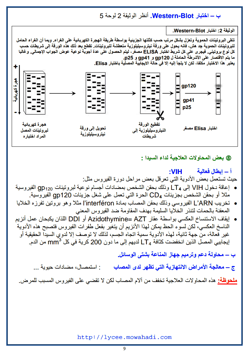 اضطرابات الجهاز المناعي -9