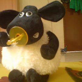 Wallpaper kartun Shaun the Sheep