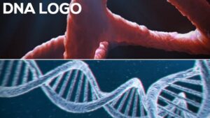 Videohive DNA Logo 2-pack for free After Effects Template 2021