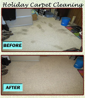 DIy carpet cleaning solution