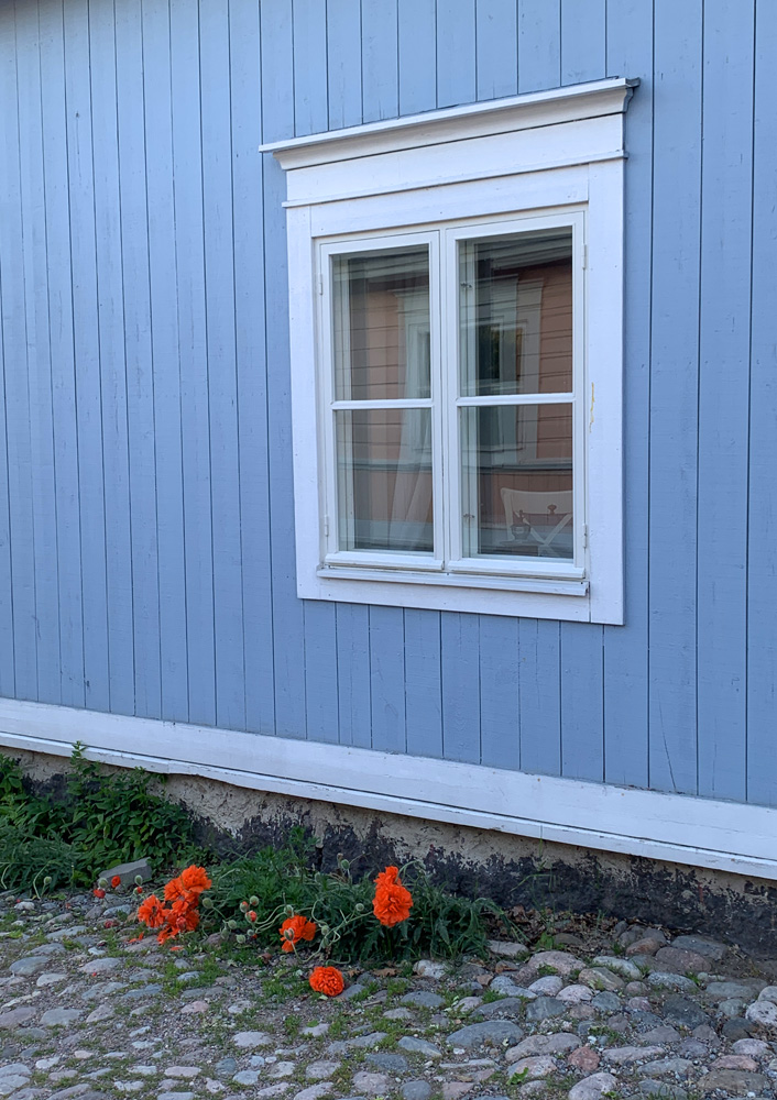 Red poppies lying on the ground in front of a blue house