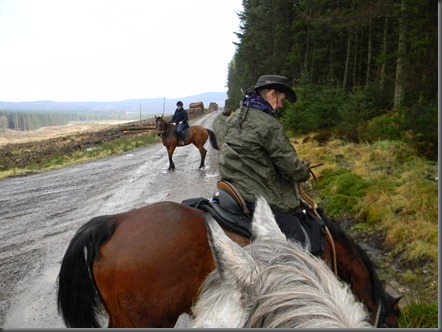 galloway forest 2013 feb 006