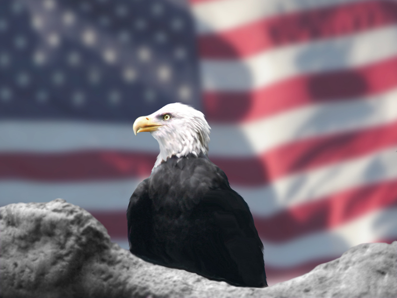 american flag eagle clip art. small american flag clip art