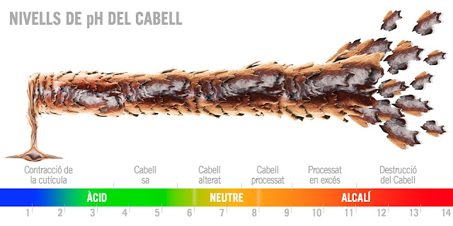 Perruqueria LeLook: el pH del Cabell