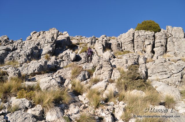 Crestería Sierra del Pinar