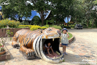 原來這才是動物園！一秒置身非洲草原 零距離體驗餵食樂趣 輕鬆